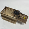 Toy Spider Scare Box Gag April Fool Day Party Prop Trick Fun Joke Toys Gifts - FLUFFI