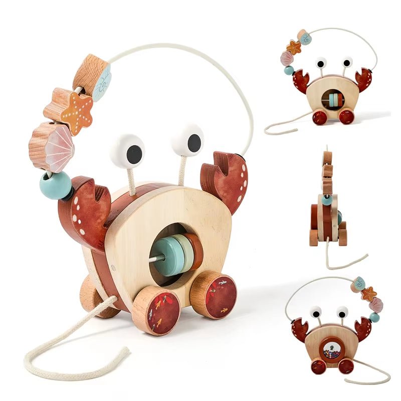 Crab Traction Car | Finger Fine Motor | Slider Beads | Educational Toy - FLUFFI
