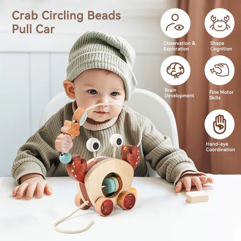 Crab Traction Car | Finger Fine Motor | Slider Beads | Educational Toy - FLUFFI