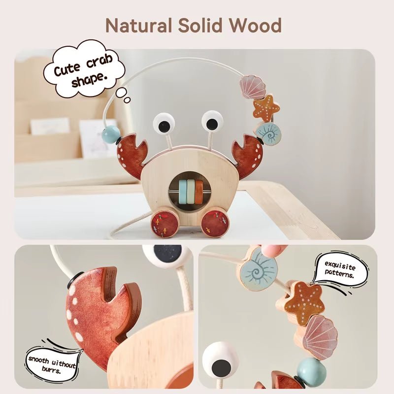 Crab Traction Car | Finger Fine Motor | Slider Beads | Educational Toy - FLUFFI