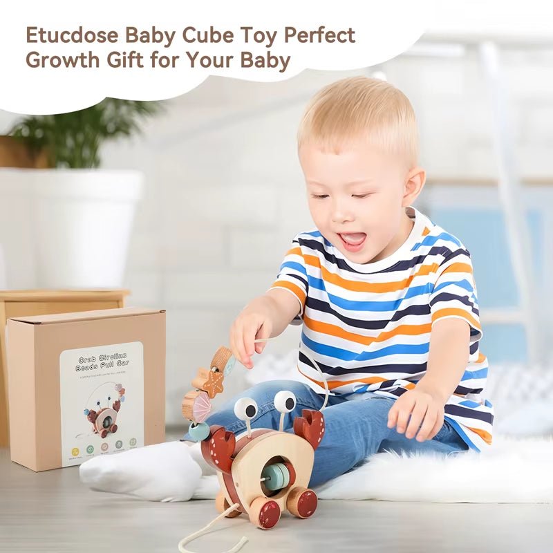Crab Traction Car | Finger Fine Motor | Slider Beads | Educational Toy - FLUFFI