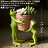 Creative Clay Pots with Frog Ornament Succulent Pot Plant Pot Cactus Planter Pots Nursery Pot Garden Pot Home Decoration - FLUFFI