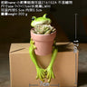Creative Clay Pots with Frog Ornament Succulent Pot Plant Pot Cactus Planter Pots Nursery Pot Garden Pot Home Decoration - FLUFFI
