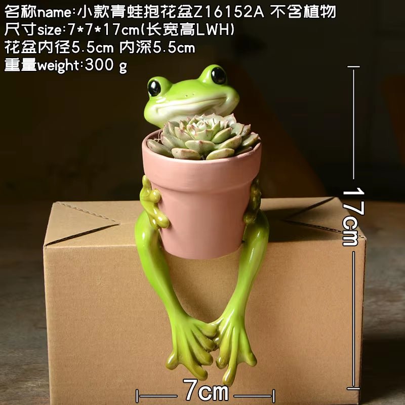 Creative Clay Pots with Frog Ornament Succulent Pot Plant Pot Cactus Planter Pots Nursery Pot Garden Pot Home Decoration - FLUFFI