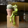 Creative Clay Pots with Frog Ornament Succulent Pot Plant Pot Cactus Planter Pots Nursery Pot Garden Pot Home Decoration - FLUFFI
