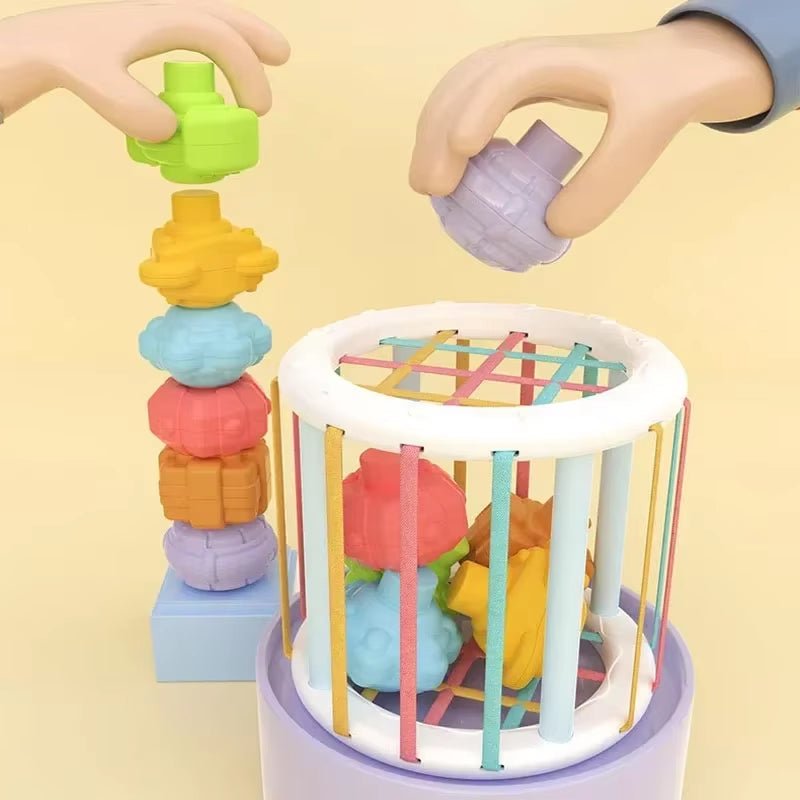 Montessori Baby Toys 0 - 12 Months Sensory Development Learning Educational Toys Colorful Blocks Sorting Game for Babies Infant - FLUFFI