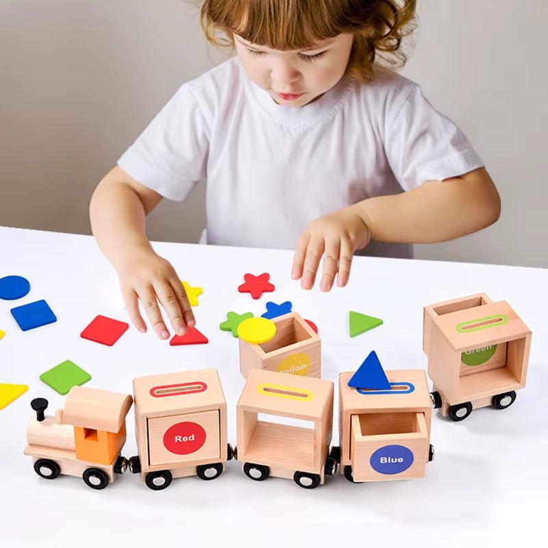 Wooden Magnetic Train Set, Early Educational Toys for Kids, Color and Shape Sorting Game, Fine Motor Skills Development Toy - FLUFFI