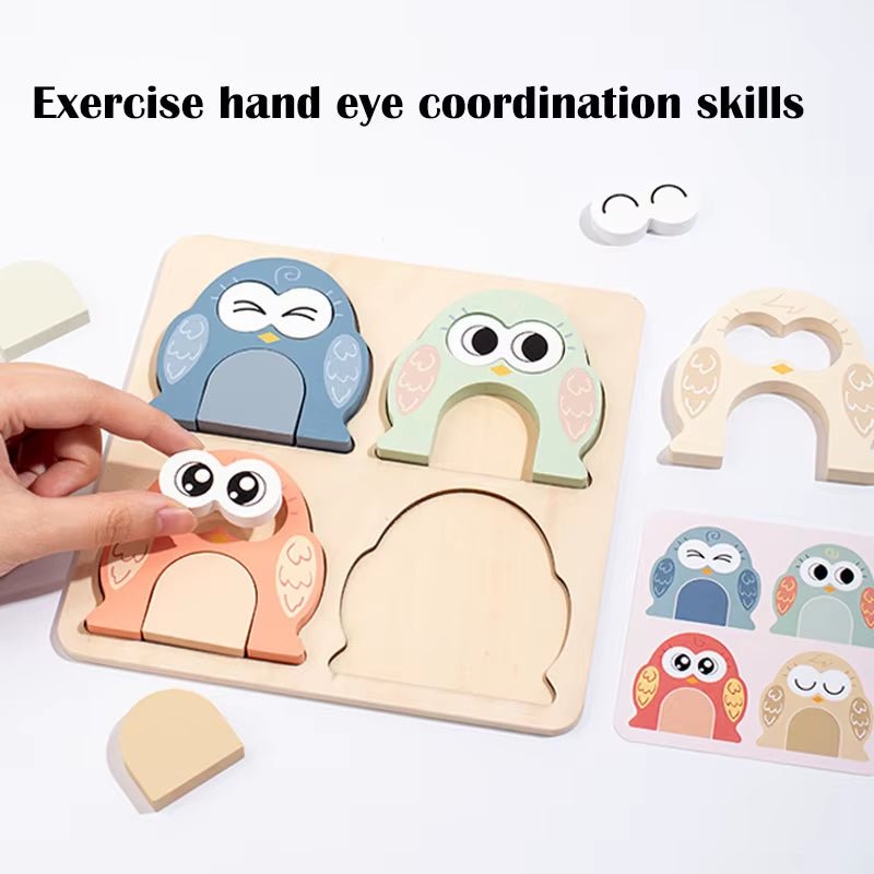 Wooden Owl Matching Puzzle, Owl Face Changing Shape Puzzle, Exercise Concentration and Hand Eye Coordination Skills - FLUFFI